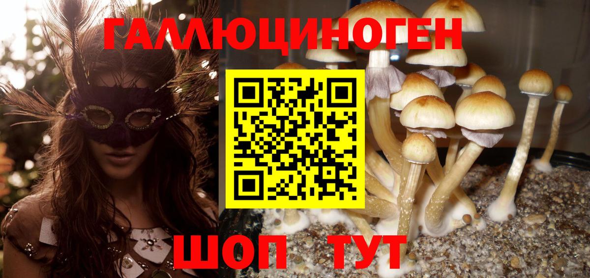 Галлюциногенные грибы MAGIC MUSHROOMS  Вход с VPN  Лесосибирск 